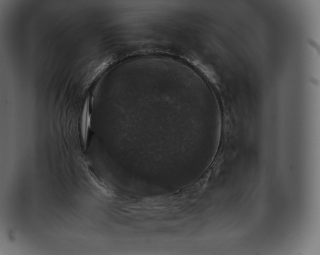 X0000093370009200710191124