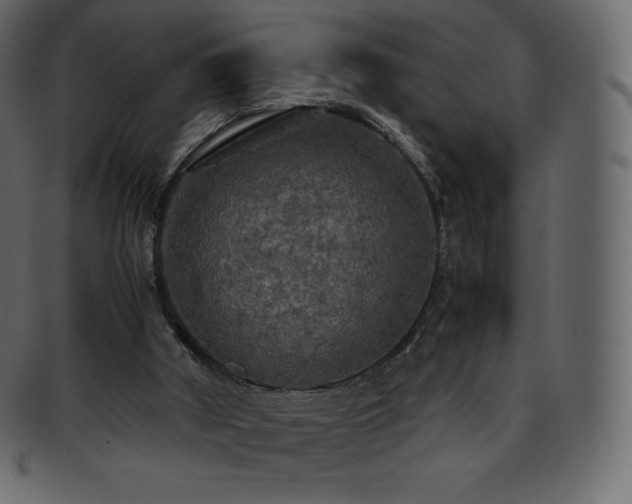 X0000093370010200710191124