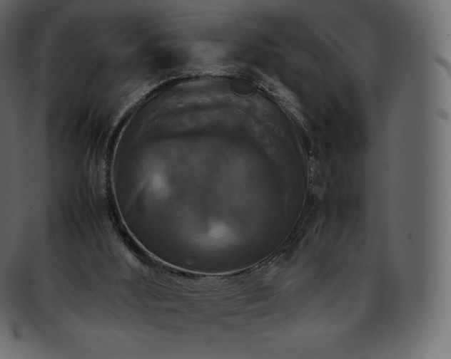 X0000093370012200710191124