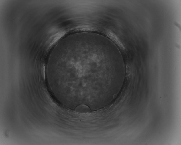 X0000093370014200710191124