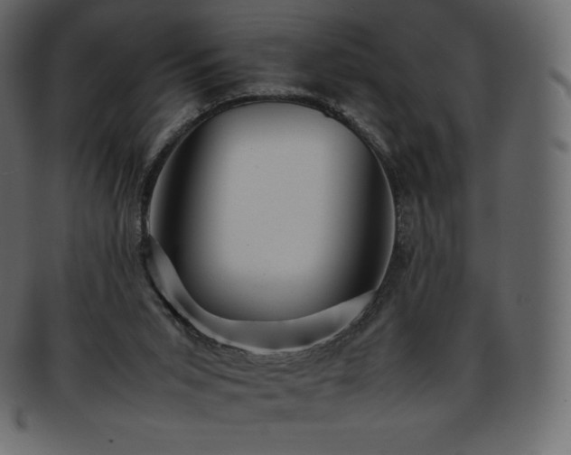 X0000093370015200710191124