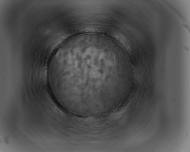 X0000093370016200710191124