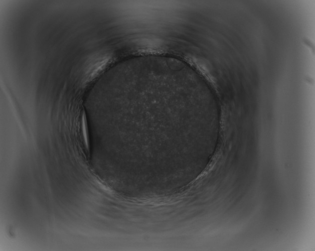 X0000093370017200710191124