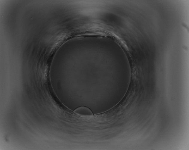 X0000093370018200710191124