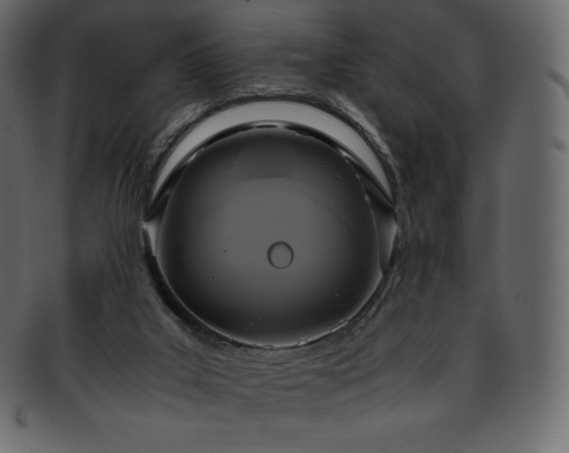 X0000093370019200710191124