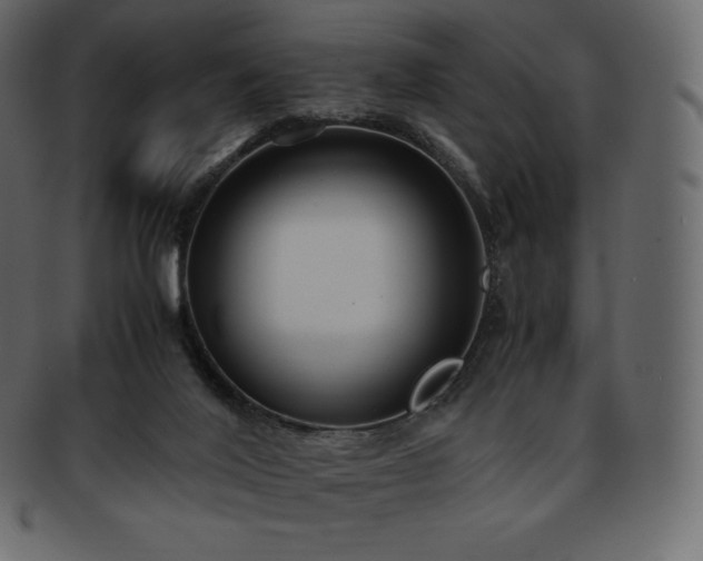 X0000093370020200710191124