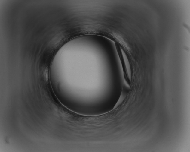 X0000093370021200710191124