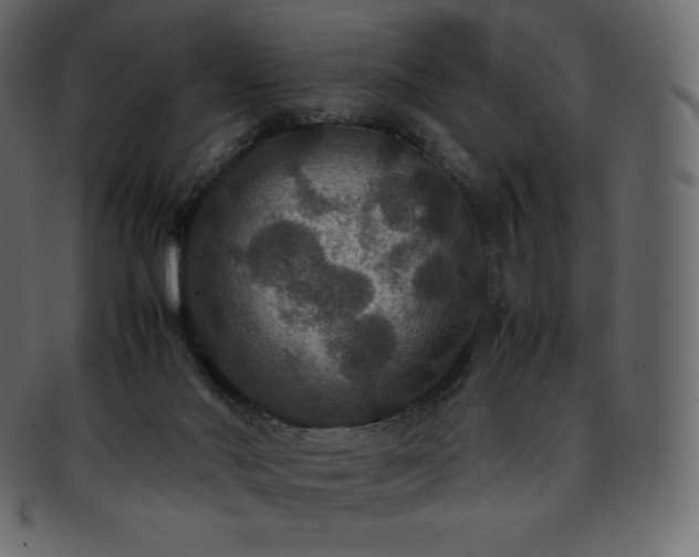 X0000093370022200710191124