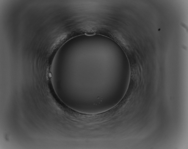 X0000093370023200710191124