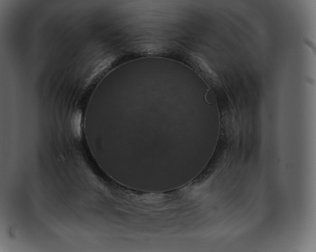 X0000093370024200710191124