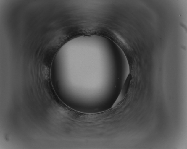 X0000093370025200710191124