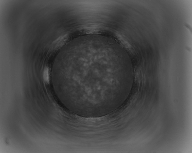 X0000093370026200710191124