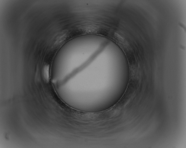 X0000093370028200710191124