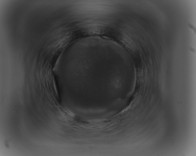 X0000093370029200710191124