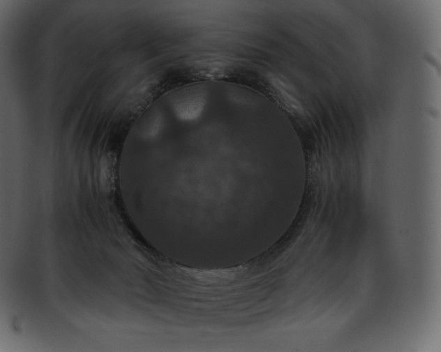 X0000093370030200710191124