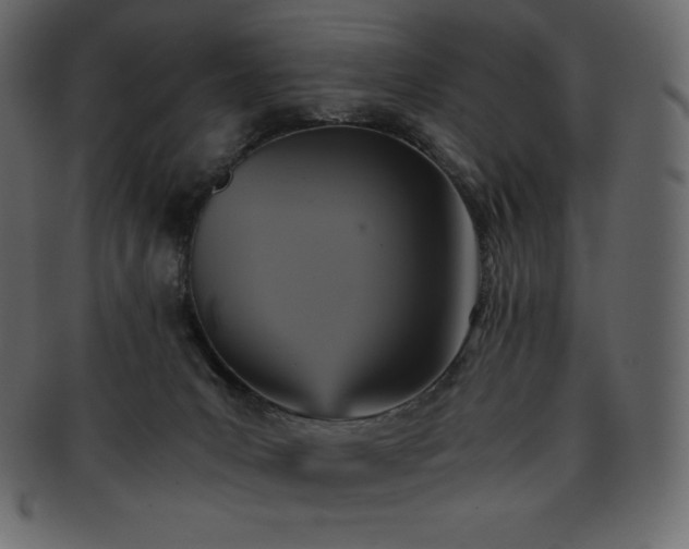 X0000093370031200710191124