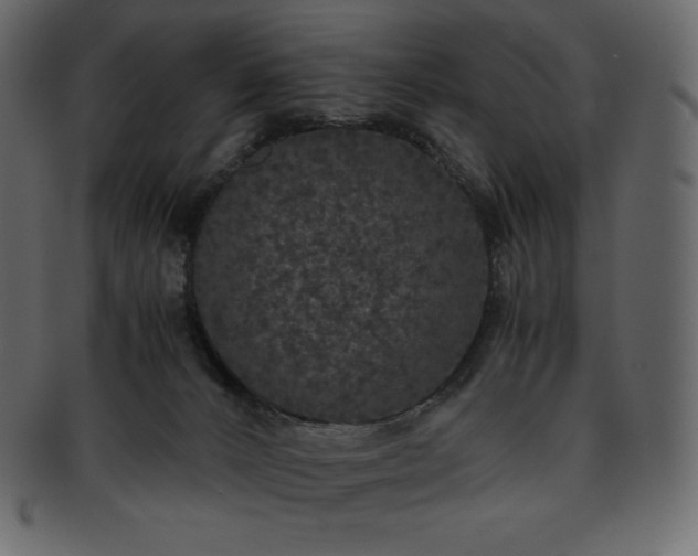 X0000093370032200710191124