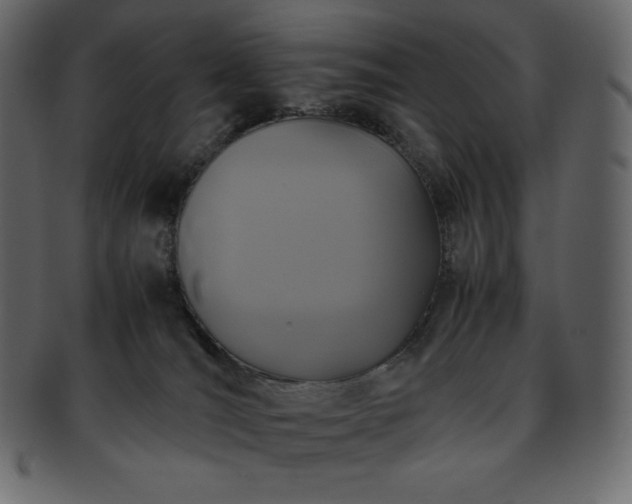 X0000093370036200710191124