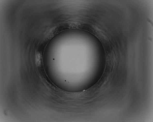 X0000093370038200710191124