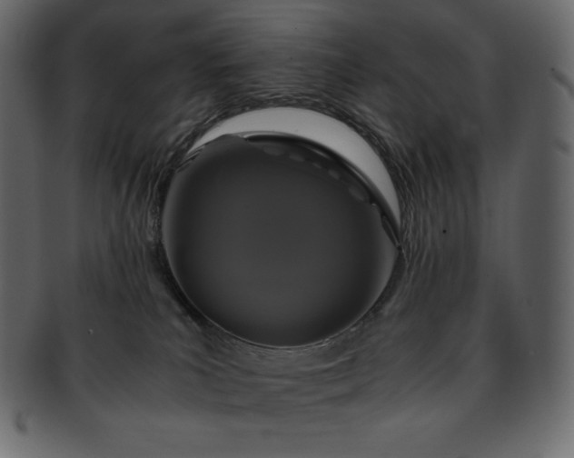 X0000093370039200710191124