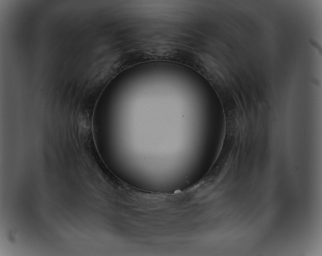 X0000093370040200710191124