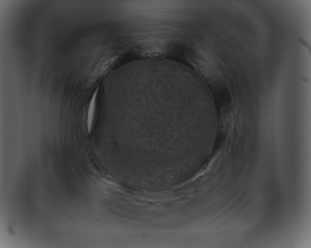 X0000093370041200710191124