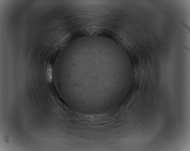 X0000093370042200710191124