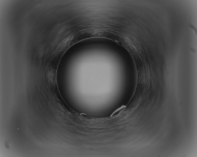 X0000093370044200710191124