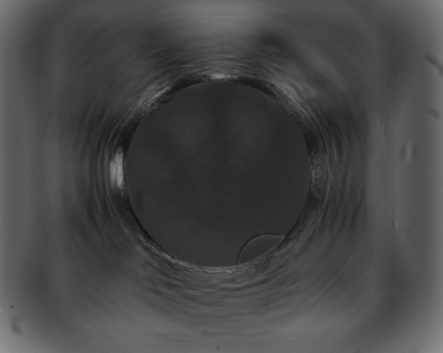 X0000093370046200710191124