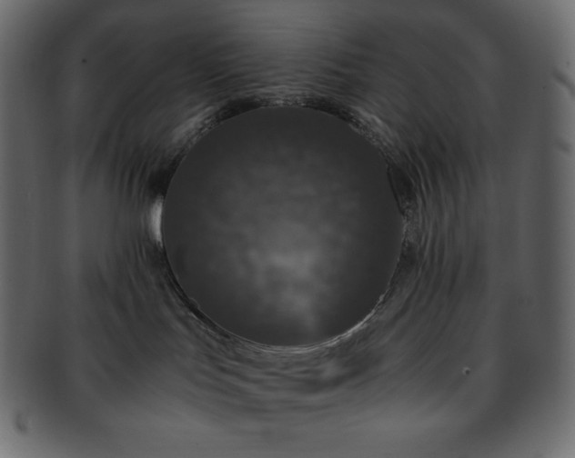 X0000093370047200710191124