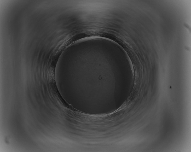 X0000093370048200710191124