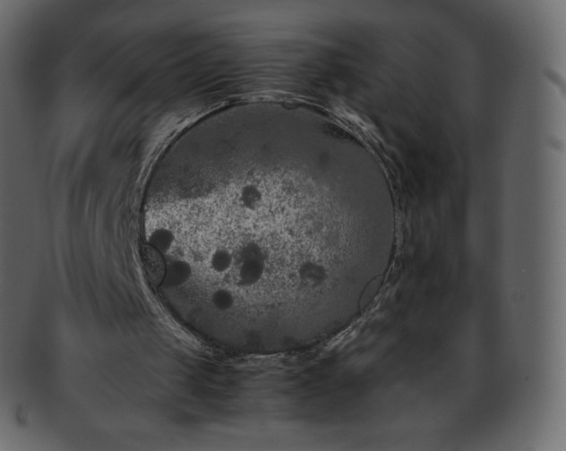 X0000093370049200710191123