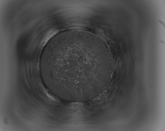 X0000093370050200710191123