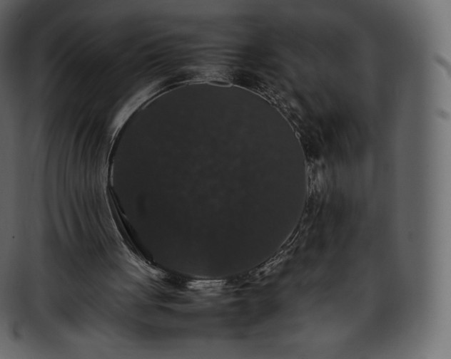 X0000093370051200710191123