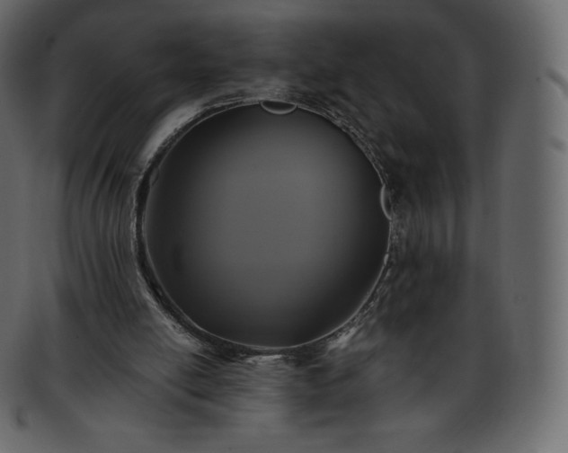 X0000093370054200710191124