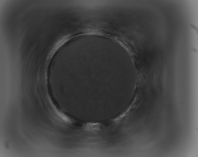 X0000093370055200710191124