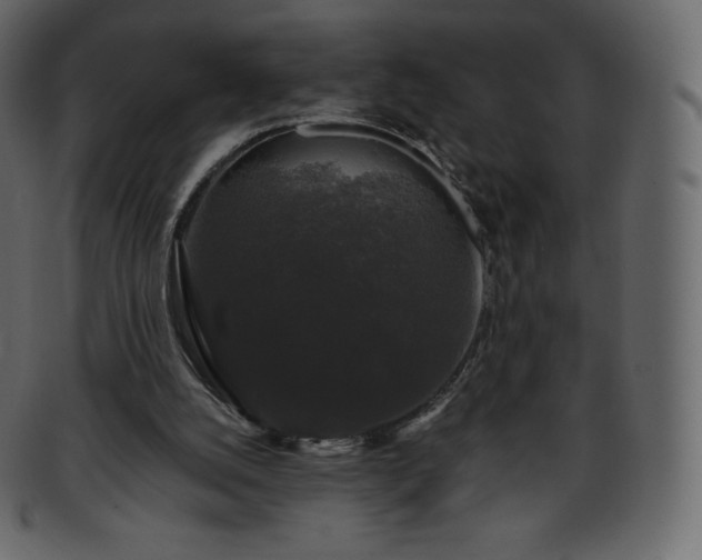 X0000093370056200710191124