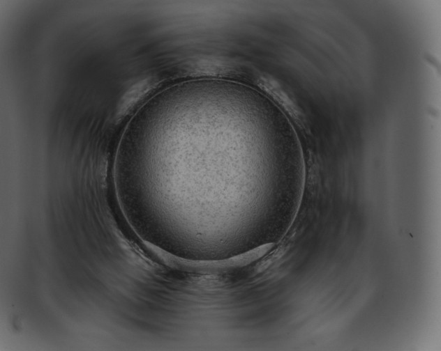 X0000093370058200710191124