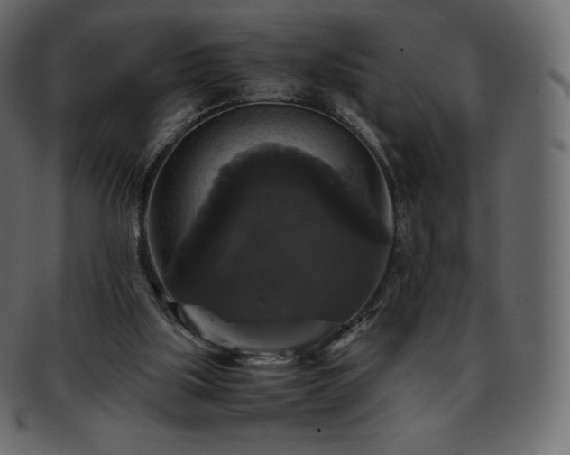 X0000093370059200710191124