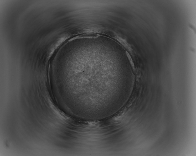 X0000093370060200710191124