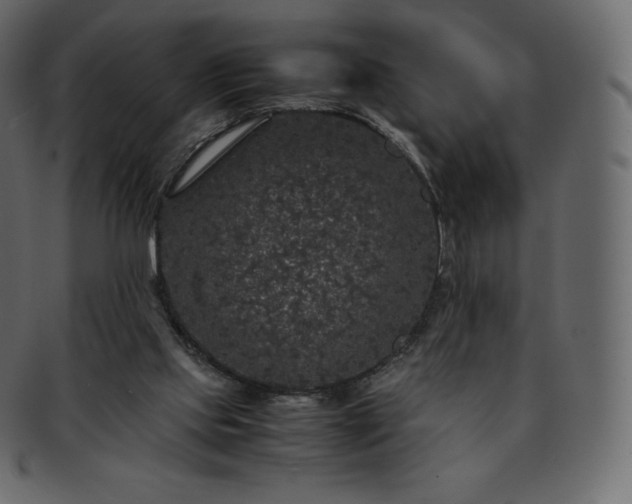 X0000093370061200710191124