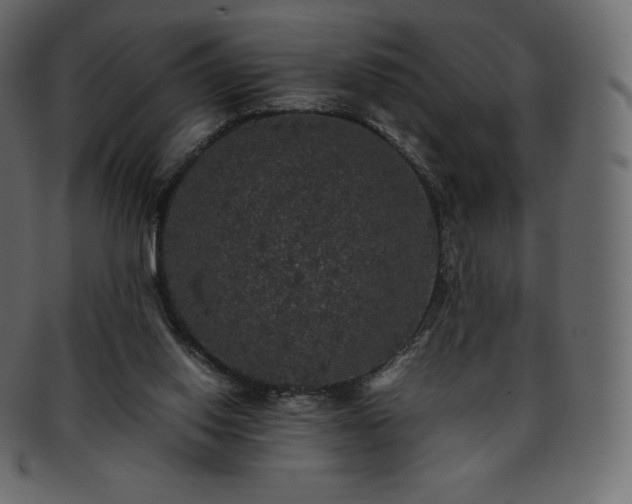 X0000093370062200710191124