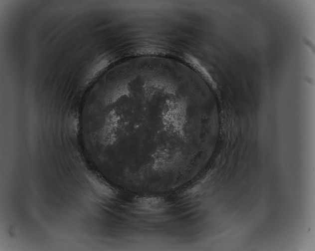 X0000093370063200710191124