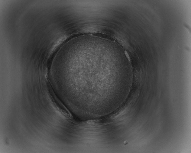 X0000093370064200710191124