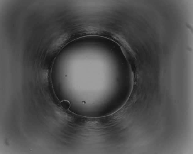 X0000093370066200710191124