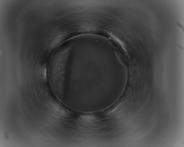 X0000093370067200710191124