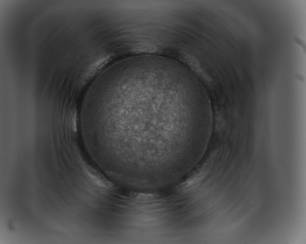 X0000093370068200710191124