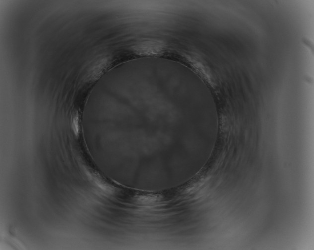 X0000093370069200710191124