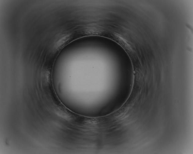 X0000093370071200710191124