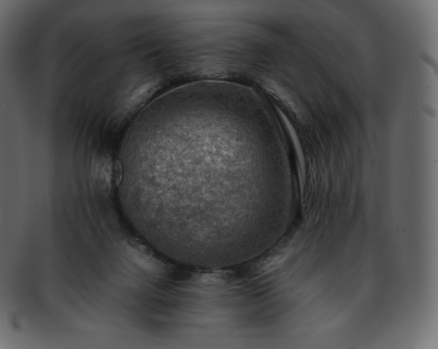 X0000093370072200710191124